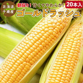 とうもろこし ゴールドラッシュ M～2L混合 20本入り 北海道 千歳産 黄色いトウモロコシ 送料無料 ご予約販売 2024年8月中旬～順次発送