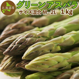 グリーンアスパラ 1kg（混合M～2Lサイズ）北海道産 ご予約販売 5月中旬～6月中旬発送予定 送料無料 アスパラガス クール便