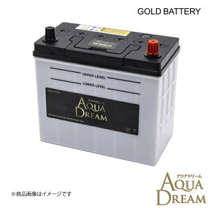 AQUA DREAM/ANAh[ GB-65B24L Yԗp [dԑΉobe[ GOLD BATTERY eiXt[ 1 AD-GB65B24L 4549277016070