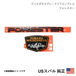 US�X�o������ FORESTER + WILDERNESS �E�B���_�l�X ���A�G���u���� �t�H���X�^�[ SK�n �O��/��� 2018-2025 �k�Ďd�l �A���� USDM California Custom k9450