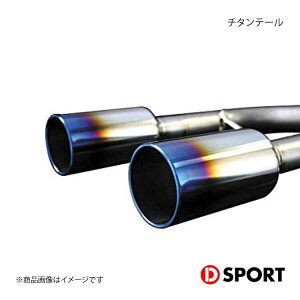 D-SPORT fB[X|[c `^e[ Ry L880K 17400-E085T