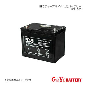 G&Yu BATTERY/G&Yu�o�b�e���[ BPC(�V�[���h���T�C�N��)�V���[�Y(�Y�Ƌ@�B) �Ȃ�(���^�C�v) �i��:BPC12-75×1
