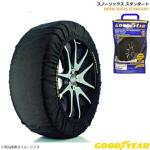 GOODYEAR ObhC[ Xm[\bNX z^C`F[ 245/45R19p X^_[h^Cv XLTCY Xm[`F[ `F[KΉ