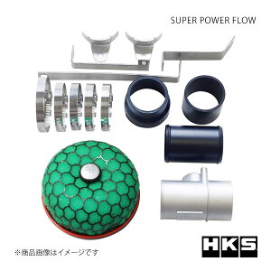 HKS エッチ・ケー・エス スーパーパワーフロー bB NCP30 70019-AT107