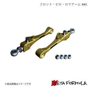 IKEYA FORMULA CPtH[~ tgEsEA[ PAT. NE JZS17# IFAE10001