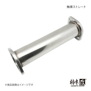 `{ JLg G}Xg[g XJCC GT-R E-BCNR33 1995/1`1999/1 NSP301