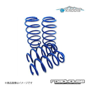 ROAD HOUSE [hnEX AbvRC 2.0L K\ԗp RAV4 50n 6BA-MXAA54 Ahx`[/GZ nCubh͑s KADDIS JfBX KD-SU17001