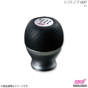 STI GXeB[AC Vtgmu 6MT BRZ ZC AvCh:A/B/C/D/E/F/G/H SG117CA010