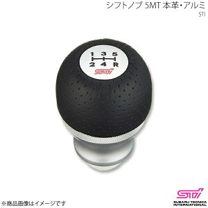 STI GXeB[AC Vtgmu 5MT {vEA~ tHX^[ SH AvCh:C/D SG117FG015