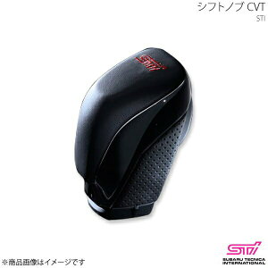 STI GXeB[AC Vtgmu CVT tHX^[ SK AvCh:A/B SG117SJ000