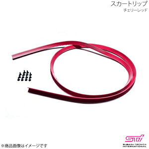 STI GXeB[AC XJ[gbv `F[bh BRZ ZC AvCh:A/B/C/D/E/F/G/H ST96020ST010