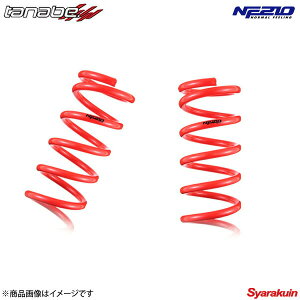 TANABE ^ix SUSTEC NF210 _ETX ovXgbp[XvOLbg m[g E12 2012N09` E12NANK