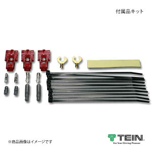 TEIN eC d̓Rg[ EDFC ACTIVE PRO tiLbg