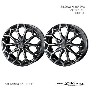 ZILDAWN 384EVO NcF Wh[ 384G{ F GNXgC T31 A~zC[2{Zbg 0040082×2 y19×8J 5-114.3 INSET42 SBCz