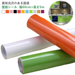 V[ 60cm JbeBOV[g ̂t 5m S11F CNV[g  ǎ hA h ǎ  LL ͂ ǎV[ Lb` ϔM NXEH[XebJ