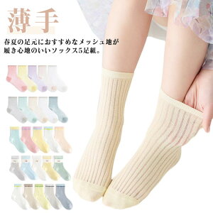  5g xr[\bNX j̎q xr[ q Rbg AN\bNX V[g\bNX LbY  bV   C  t ̎q u   Ȃ