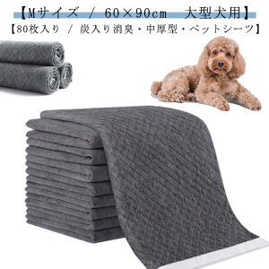 V[c ^ XLTCY Ch X[p[Ch ^ i20×4܁j 80 ybgV[g Y Y ybg ybgV[c gCV[g V[g ^ V[g gC gCV[