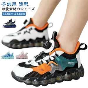 _C LbY jO  V[Y ^C qp Xj[J[ w q bV qǂC LbYXj[J[ y X|[c j̎q bV ̎q WjA ʉ ʊw C 