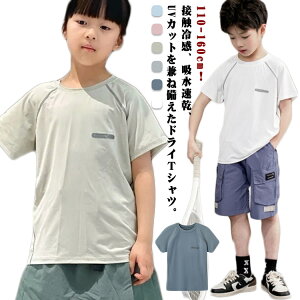 ⊴ tVc 160   X|[cEFA LbY j̎q X|[c q z ̎q hC ʋC  n WjA gbvX g[jOEFA ڐG⊴ ^ w c  Tb