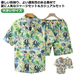 Vc AnVc Y  ĕ r[` ĕ n[tpc JWA  Vc ㉺Zbg [EFA AnVc ԕ  ėp An s ][g nC 