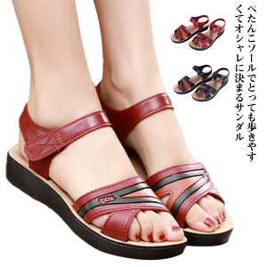 T_ ʋCQ fB[X X|[c tbg   T_ ؂ hQ ₷ r[`T_ }jbVV[Y RtH[gV[Y  _Q f