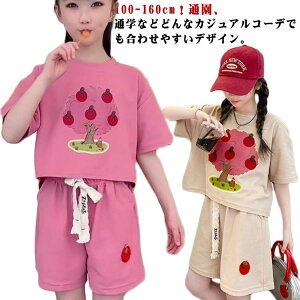 gbvX TVc uEX ؍ ZbgAbv LbYZbgAbv XEFbg ĕ  K[Y q ㉺Zbg i IV W[W _Xߑ 120  ꂢ JW