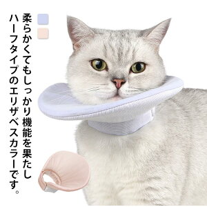 _炩 Lp ~h~ ̏㔼Ȃn[t^Cv L GUxXJ[ ʎgp\ p ybg ^ y \tg rߖh~ n[tGUxXJ[ ی p̃PA 