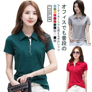 TVc n X|[cVc StVc StEFA  l  ʋC |Vc ^ p St Ă~ z StVc Vv 傫TCY ? ʋ  ^ 