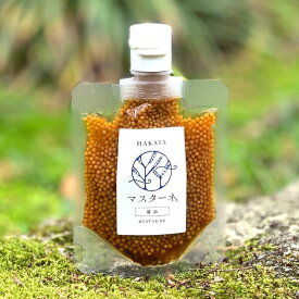 【蔵元直送★50％オフクーポン利用で最安900円】 南の風のマスターネ 粒マスタード 選べる 醤油 プレーン まるは醤油 福岡 朝倉 調味料 ソース ドレッシング 辛くない プチプチ 新食感 肉 魚 野菜 サラダ ステーキ 揚げ物 ギフト お取り寄せ グルメ