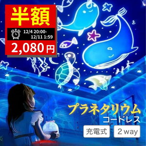 yX[p[Z[28Ԍ聚50ItN[|z vl^E ƒp vWFN^[ USB[d LED Cg q Q V  Cme l Ԃ oYj Vzj N