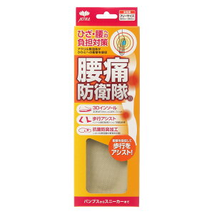 ANeBJ ACTIKA 11261 fB[X C\[ ~ { Y ɖh~ Ռz R hL x[W