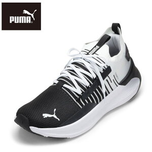 v[} PUMA 310127.01M YC C V[Y 2E [JbgXj[J[ X|[cV[Y jOV[Y SOFTR Vg[ t[W g[jO W X|[c lC uh u