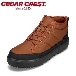 y10OFFN[|I420`111:59܂Łzu[c Xm[u[c h  JWA Z_[NXg CEDAR CREST CC-9753M uE