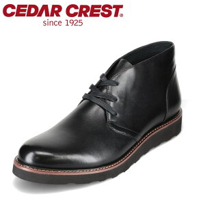 y10OFFN[|I420`111:59܂ŁzZ_[NXg CEDAR CREST CC-1561 rWlX V[Y JWA vC L ʋ ItBX ubN