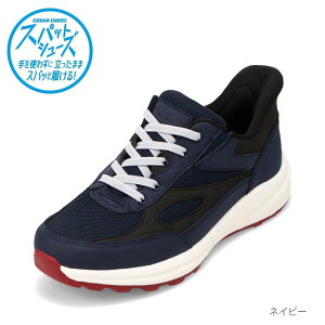 XpbgV[Y Xj[J[ Y y bV g킸ɗ [JbgXj[J[ nYt[ Z_[NXg CEDAR CREST CC-60770