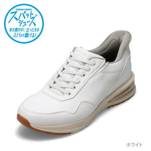 y10OFFN[|I420`111:59܂ŁzXpbgV[Y Y GA\[^Cv g킸ɗ 24.5cm`29.0cm Z_[NXg CEDAR CREST CC-60911 [JbgXj[J[ nYt[ 