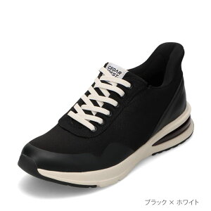 XpbgV[Y Y GA\[^Cv h g킸ɗ 24.5cm`29.0cm Z_[NXg CEDAR CREST CC-60910 YC C Xj[J[ [JbgXj[J[ ₷ X[Y [J