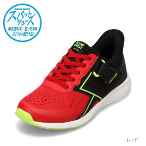 XpbgV[Y LbY xgt g킸ɗ 19.0cm`24.0cm Z_[NXg CEDAR CREST CC-3128 LbYC C V[Y 2E ܂ܗ XpbƗ [JbgXj[J[ n