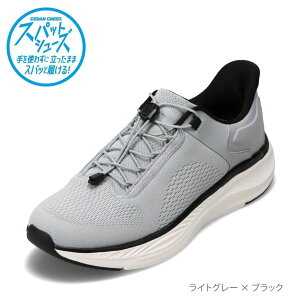 XpbgV[Y Y jO^Cv g킸ɗ 25.0cm`28.0cm Z_[NXg CEDAR CREST CC-5001M YC C V[Y 2E [JbgXj[J[ nYt[ ܂ܗ 