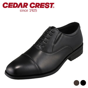 Z_[NXg rWlXV[Y Y vC ubN  L Ch 傫TCY y y A ʋ N[g d rWlX ItBX    tH[} CEDAR CREST CC-1