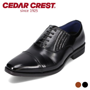 y10OFFN[|I420`111:59܂ŁzZ_[NXg CEDAR CREST CC-1341 4ErWlXV[Y H Xg[g`bv L  h h ₷ ɂȂ TChSA E₷