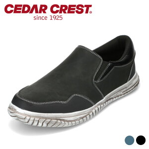 y10OFFN[|I420`111:59܂ŁzZ_[NXg CEDAR CREST CC-1231 Xb| h J̓ S [Yh