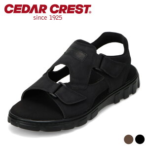 Z_[NXg EHbVu CEDAR CREST CC-1223 YC C V[Y 3E X|[c T_ X|T ʃt@Xi[ _炩 \tg Vv