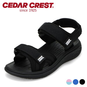 y10OFFN[|I420`111:59܂ŁzZ_[NXg CEDAR CREST CC-3132 T_ X|[c X|T ʃt@Xi[ oh