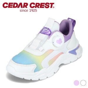 y10OFFN[|I420`111:59܂ŁzZ_[NXg CEDAR CREST CC-3118 qC LbYXj[J[ _CV[Y _CL[eB q ̎q {[\[ gh jAX