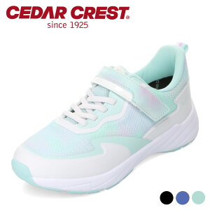 h[eBeBXj[J[ LbY hXj[J[ SR xg 19.0cm`24.0cm Z_[NXg CEDAR CREST CC-3134 LbYC C V[Y 3E Xj[J[ y qC j̎q ̎q ʋC 