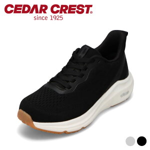y10OFFN[|I420`111:59܂Łzh[eBeBXj[J[ fB[X hXj[J[ y Xj[J[ Z_[NXg CEDAR CREST CC-9855W Xj[J[ J̓ [JbgXj