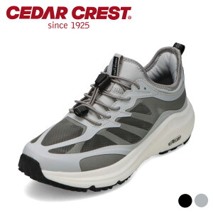 y10OFFN[|I420`111:59܂ŁzZ_[NXg CEDAR CREST CC-5500 Xj[J[ Ȃ ʋC bV h S Lk [JbgXj[J[
