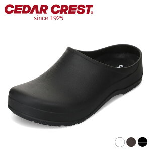y10OFFN[|I420`111:59܂ŁzZ_[NXg CEDAR CREST CC-4100W T{T_ [V[Y Xbp  TXeBiu SDGs
