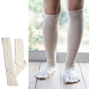 VN100 5{w nC\bNX silk VN C ܖ{wC@Li { ۉ